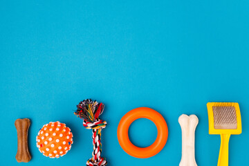 Set of accessories for the dog on blue background. Ball for game, goodies. Caring concept. Canine background. Top view, flat lay