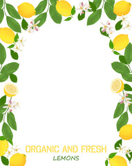 Lemons fresh lemon border vector illustration, food frame with text space