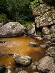 Wall Mural - Small pond in the forest of Huelgoat