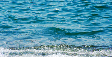 Wall Mural - Blue sea water background texture