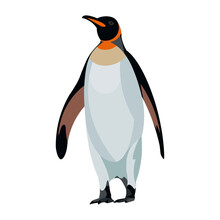 Figure Of The Antarctic King Penguin Raising Its Wings