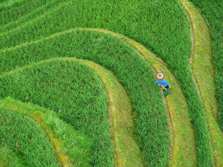 Terraces Dragon's Back Guilin China