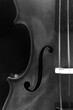 Violin 1956