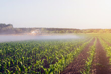 Scenic View Of Agricultural Field Against Clear Sky