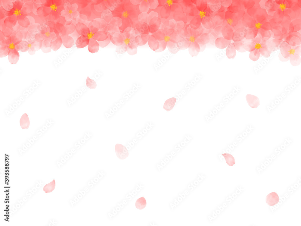 水彩画の桜イラスト フレーム Wall Mural Wallpaper Murals Sugar Dzin