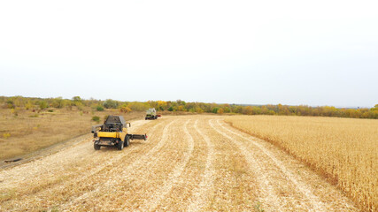 Aerial view of grain harvesters working on farm at autumn day. Flying over two combines driving to gather corn crop. Beautiful countryside landscape at background. Harvesting or agronomy concept