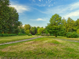 Park scenery at a day with a grass, foliage, trees and cloudy sky.