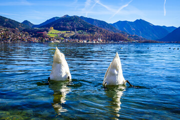 Sticker - famous Tegernsee lake in Bavaria