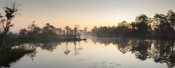 Canvas Print - Panoramic scenery of the misty bog lake on the dawn colors