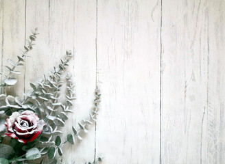 Flocked eucalyptus branches and red rose on white wooden surface shot from above. Top view, flat lay, copy space. Christmas and New year composition. Winter background with space for text.