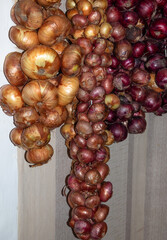 Wall Mural - mix of onions red and white