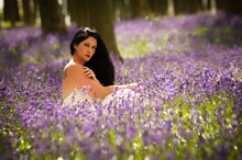 Portrait Of Woman Sitting Amidst Purple Flowers On Field