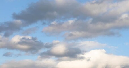 Wall Mural - white clouds of different shapes and sizes fly in time lapse fashion over a vivid blue sky on a part