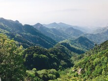 Scenic View Of Forest And Mountains Against Sky