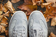 Comfortable gray leather shoes for men on asphalt road or footpath with autumnal leaves. Male footwear