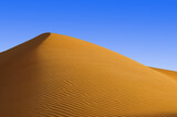 Fototapeta Nowy Jork - Sand dunes in the Thar desert