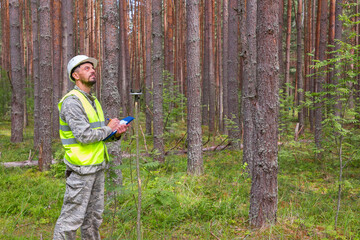 Wall Mural - A forest engineer performs forest management work. Forester works in the forest with a measuring tool.