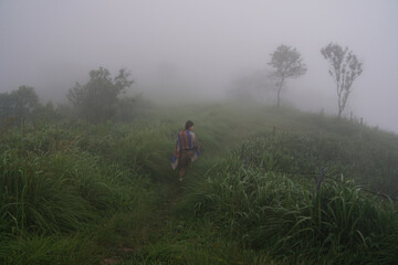 dense morning fog on a green field overgrown with tall grass, a girl walks along a path and walks into the unknown   