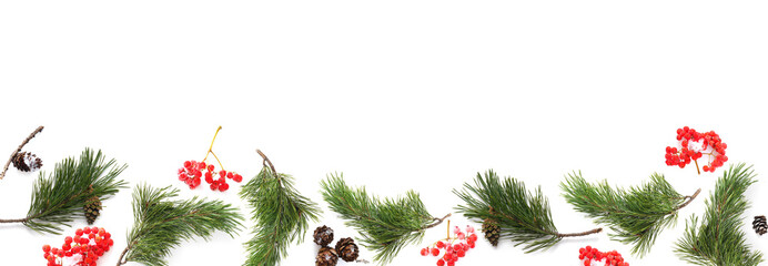 Wall Mural - Pine branches isolated on white background, border with place for text. Christmas and New Year background.