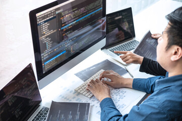 Wall Mural - professional developer programmer cooperation meeting and brainstorming and programming in website w