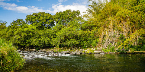 Wall Mural - Rivière des Marsouins, a river on the Indian Ocean Island of Réunion