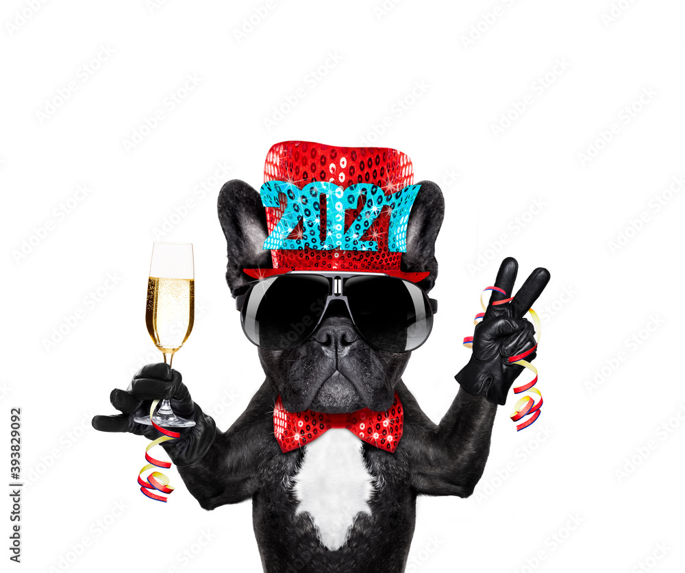 happy new year dog celberation - obrazy, fototapety, plakaty 