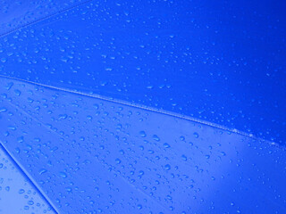 Poster - water drop on blue umbrella after rain