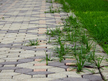 Pavement With Green Grass In The Garden