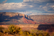 USA Mojave Desert And Grand Canyon