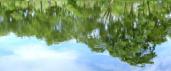 Sticker - abstract water wave with reflection of tree background