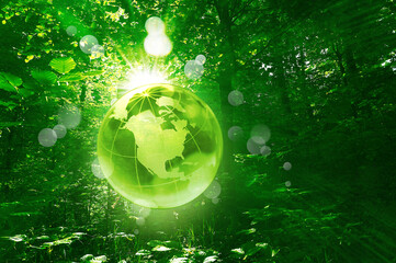 Enviromental conservation and ecology nature environment future world - eco green planet in the forest with america canada usa map. Glass globe. sustainable. 