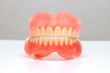 Denture jaw.Denture. Full denture with clipping path.