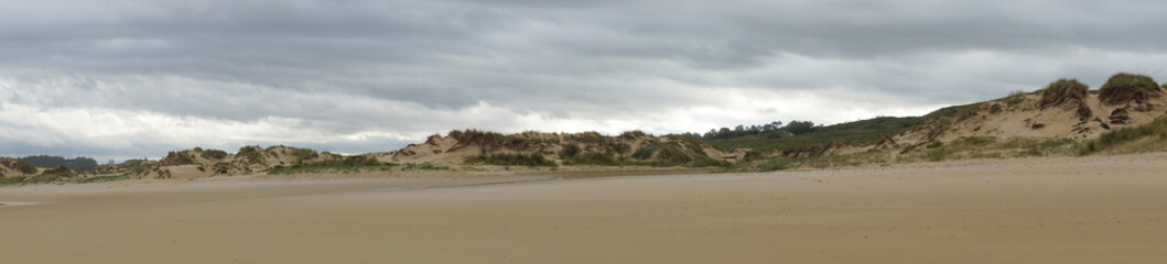 Poster - panorama of an empty beach with tall sand dunes under an overcast sky