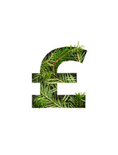 Green Pound Currency Sign Of Evergreen Spruce And Cut Paper Isolated On White. Xmas Typeface Of Fir Twigs