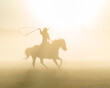 © Jayce - silhouette of a lasso horse in the sunset
