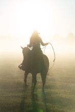 Silhouette Of A Lasso Horse In The Sunset