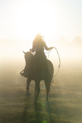 silhouette of a lasso horse in the sunset