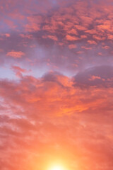 Wall Mural - Soft sunrise, sunset pink violet orange sky with sun, clouds background texture