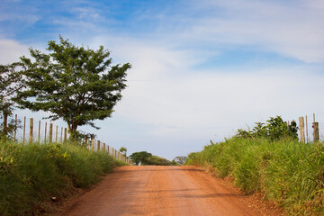 Brazilian countryside view from a dirt road. Common rural scene from southeast of Brazil (Campina do Monte Alegre e Salto do Paranapanema)