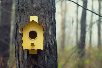 wooden bird house