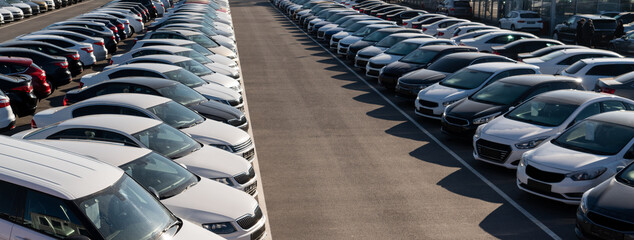 Wall Mural - Cars in a row. Used car sales	
