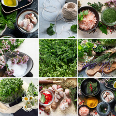 Sticker - Collage of Fresh green garden herbs and spices