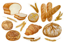 Bread And Toast Bakery Baking Illustration, Watercolor Hand Painting Isolated