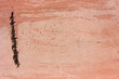 © Nadiia - Cement coral background with reinforcement