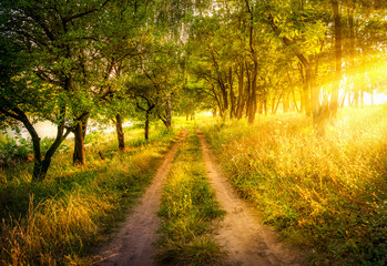 Wall Mural - Dawn on the road