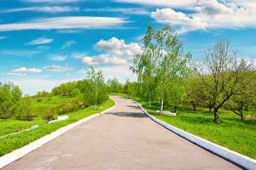 Wall Mural - road in the park
