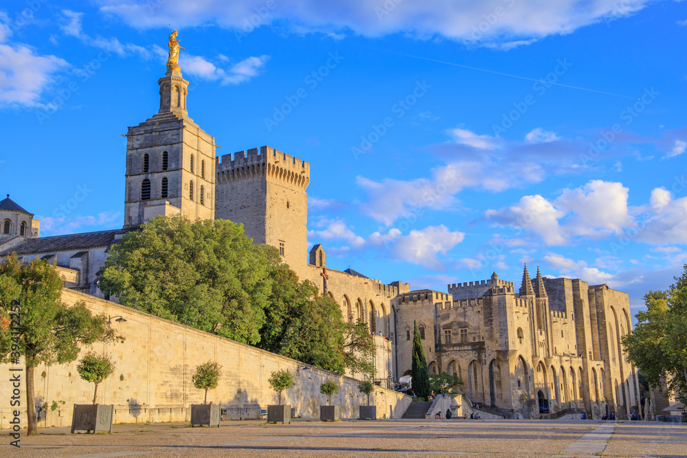 Avignon, Palace of the Popes, Vaucluse, France  - obrazy, fototapety, plakaty 