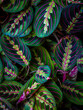 © ALAN SHAPIRO/Stocksy - variegated leaves