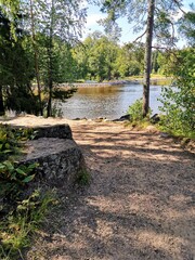 Wall Mural - Path in summer park, sea