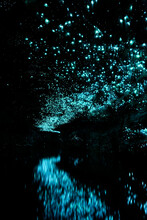 Glowworm Cave In Waitamo New Zealand. Cave Filled With Water, Glowworms Hanging From Ceiling.